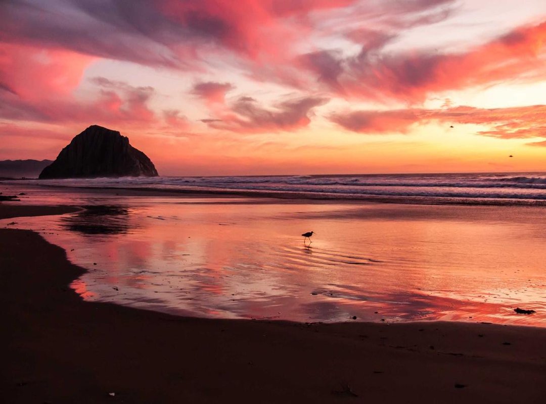 Putting It All Together: A Clear Explanation