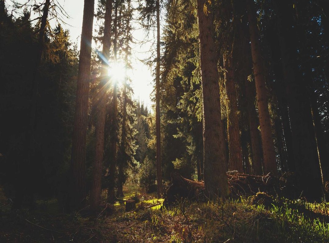 Masters of Versatility: From the Stage to the Screen