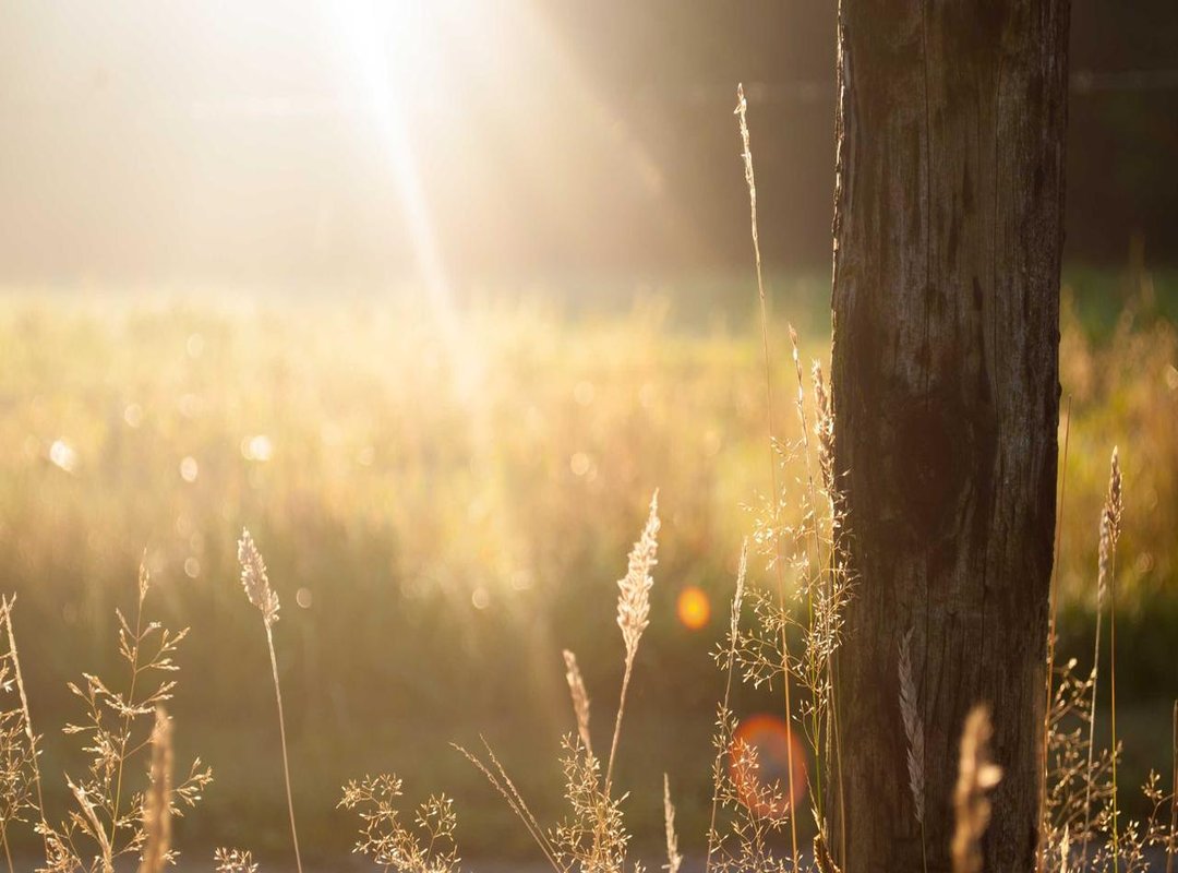 Reddit's Verdict: The Good vs. The Bad