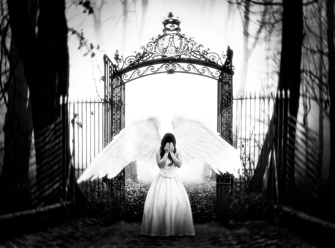 Implications and Consequences of the Leaks