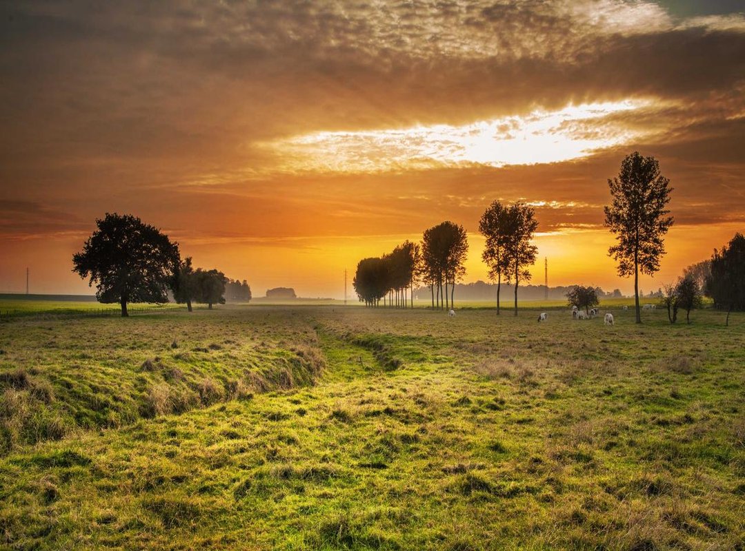 Beyond the Weights: Nutrition and Recovery Essentials