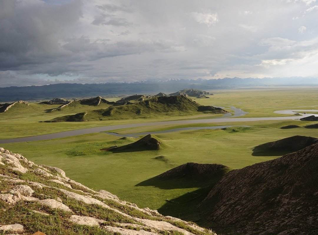Examples of Palestinian Women's Wallpaper in Different Settings